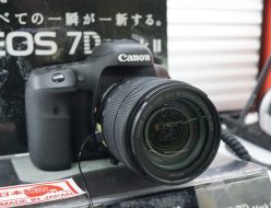 EOS7D Mark2,レンズ,人気